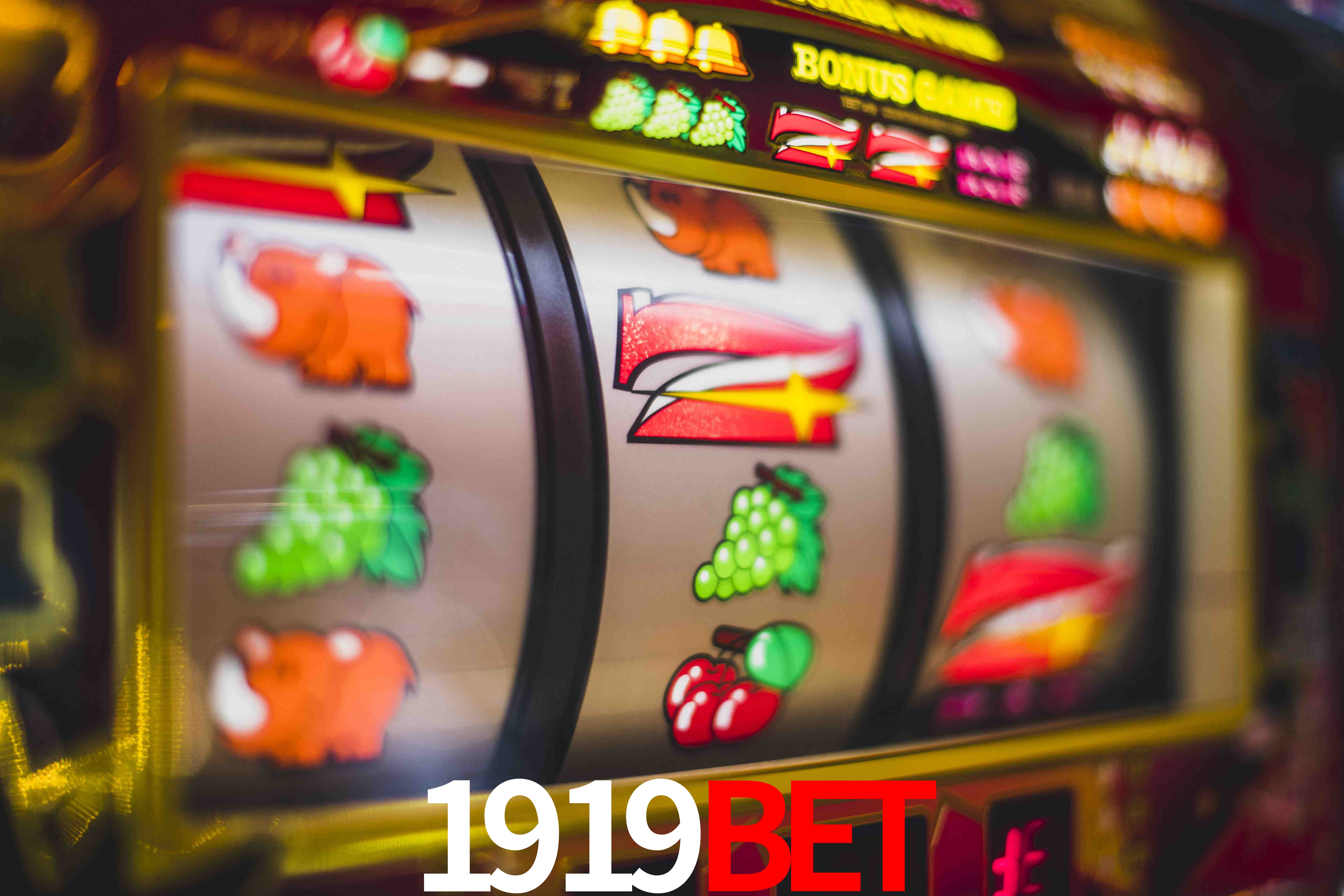 Statistics 1919bet